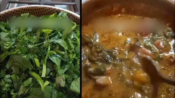 خورش آلو اسفناج شام خوشمزه و سالم امشب | فیلم