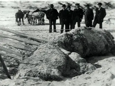 وقتی اقیانوس خشمگین می‌ شود؛ هیولاهایی که شبانه به ساحل می‌ آیند