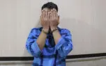 قتل پیرزن تهرانی  بخاطر سرقت طلاهایش / پیرمرد : من فکر می کردم زنم خوابیده است !