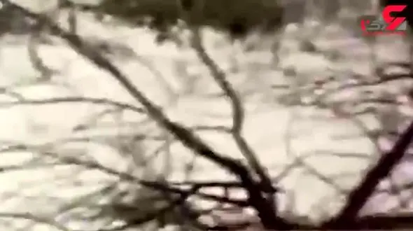 انتشار فیلمی برای اولین بار از انهدام هواپیمای دشمن با شلیک موشک های ایران