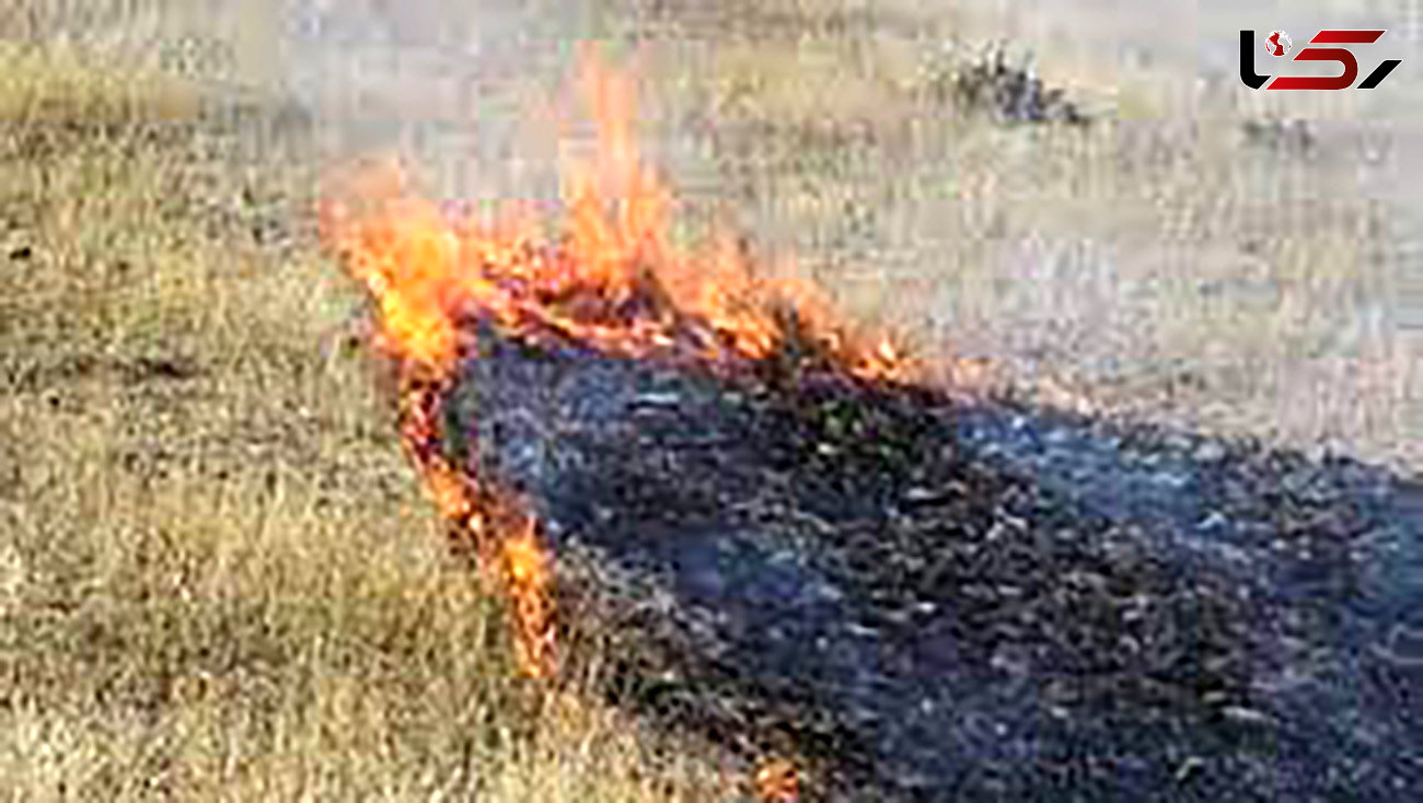 آتش سوزی پوشش گیاهی منطقه گلچین گلباف