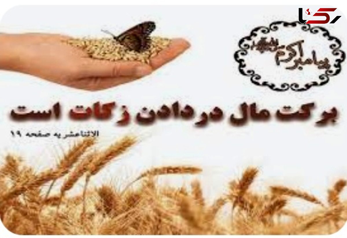 نقش زکات در سبک زندگی اسلامی