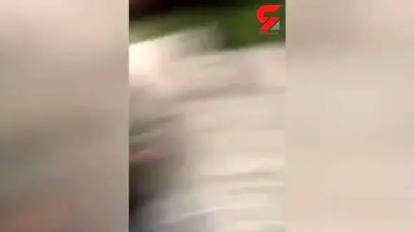 فیلم باورنکردنی از جدال وحشیانه 3 مرد به خاطر جای پارک+ عکس