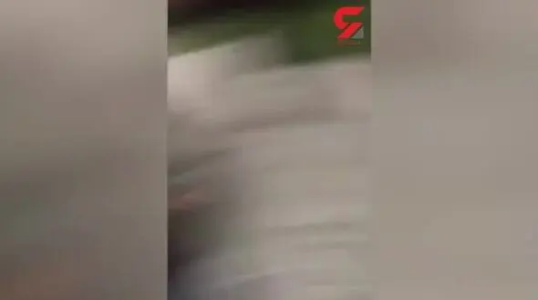 فیلم باورنکردنی از جدال وحشیانه 3 مرد به خاطر جای پارک+ عکس