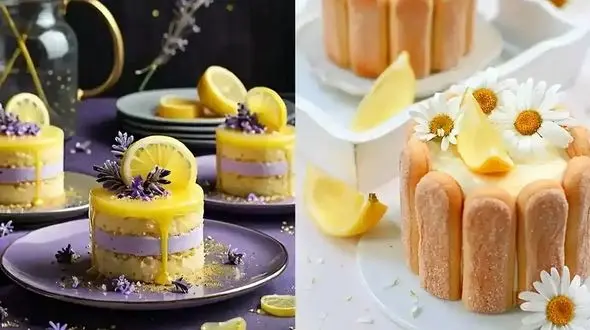 زیباترین مدل‌ های شیرینی تر خوشمزه و جذاب + جدیدترین ایده‌ ها