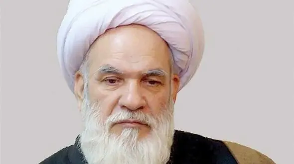 ابراهیمی: دولت امر به معروف و نهی از منکر در مسائل اقتصادی را از خود شروع کند
