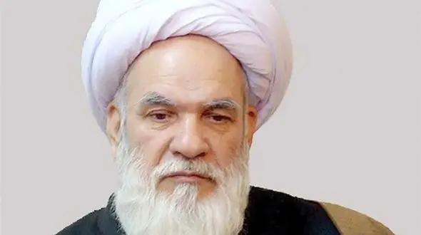 ابراهیمی: دولت امر به معروف و نهی از منکر در مسائل اقتصادی را از خود شروع کند