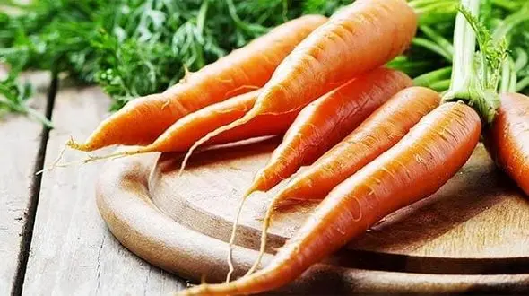 منابع گیاهی سرشار از کربوهیدرات را بشناسید