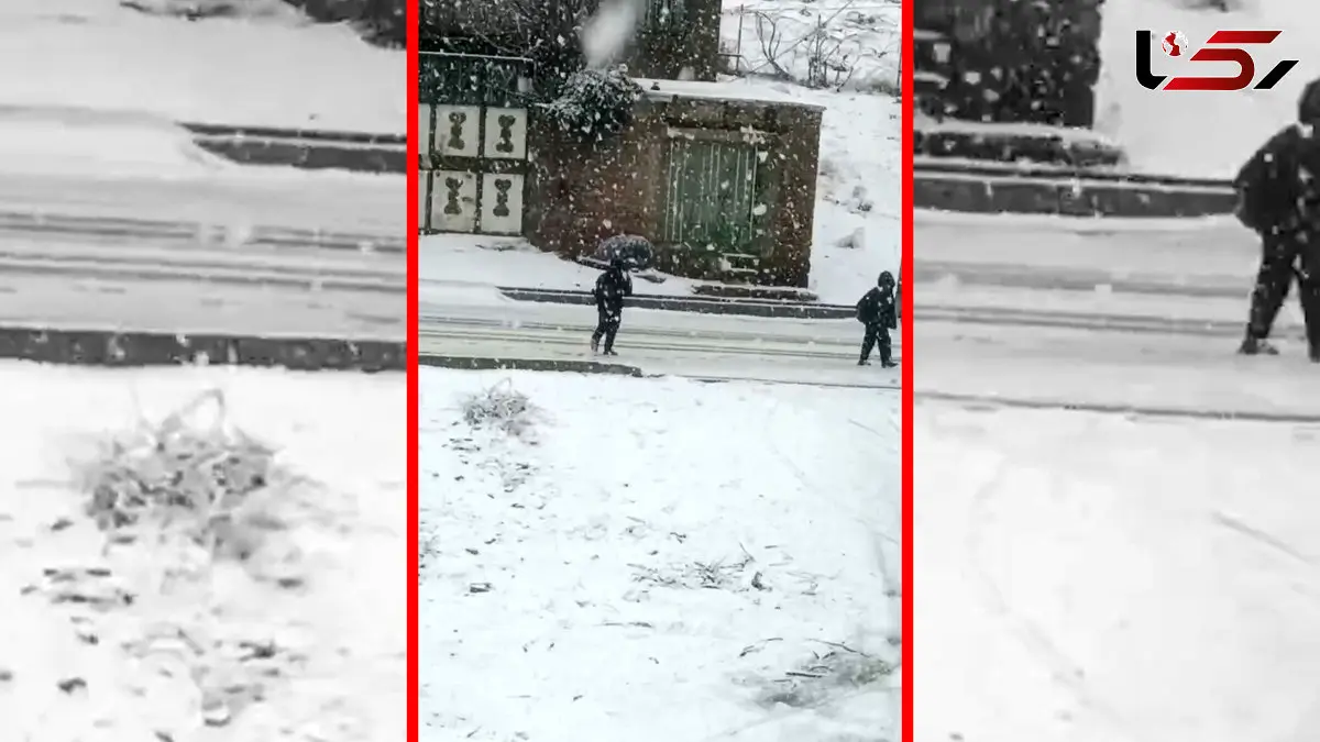 فیلم خوشحالی و بازی کودکان در برف در مریوان