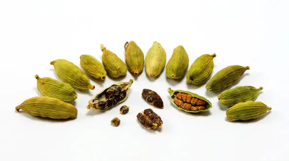 هل قوی ترین دیکلوفناک برای بدن + فیلم