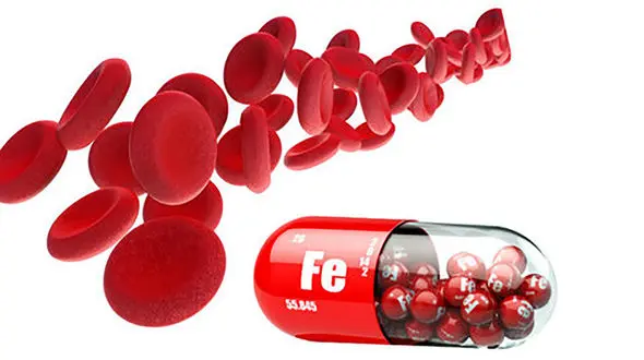  25 درصد از زنان ایرانی دچار کم خونی هستند / مصرف قرص آهن و ویتامین B12 را جدی بگیرید 