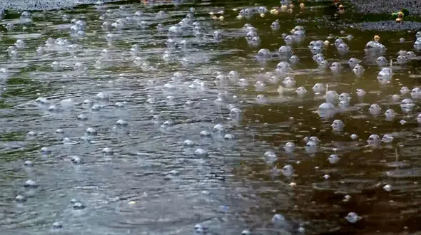 ببینید / بارش شدید باران در برلین و آب گرفتگی یک بیمارستان + فیلم