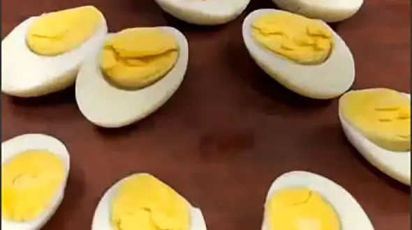 غذای پروتئینی بخورید + فیلم