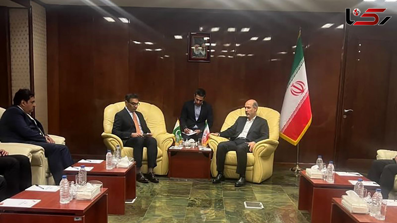 ایران آماده توسعه تبادل برق با پاکستان است