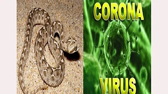 ترس از کرونا جان مرد مینابی را گرفت