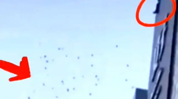 بارش دلار از آسمان / اقدام شوکه کننده یک مرد در پشت بام خانه اش + فیلم