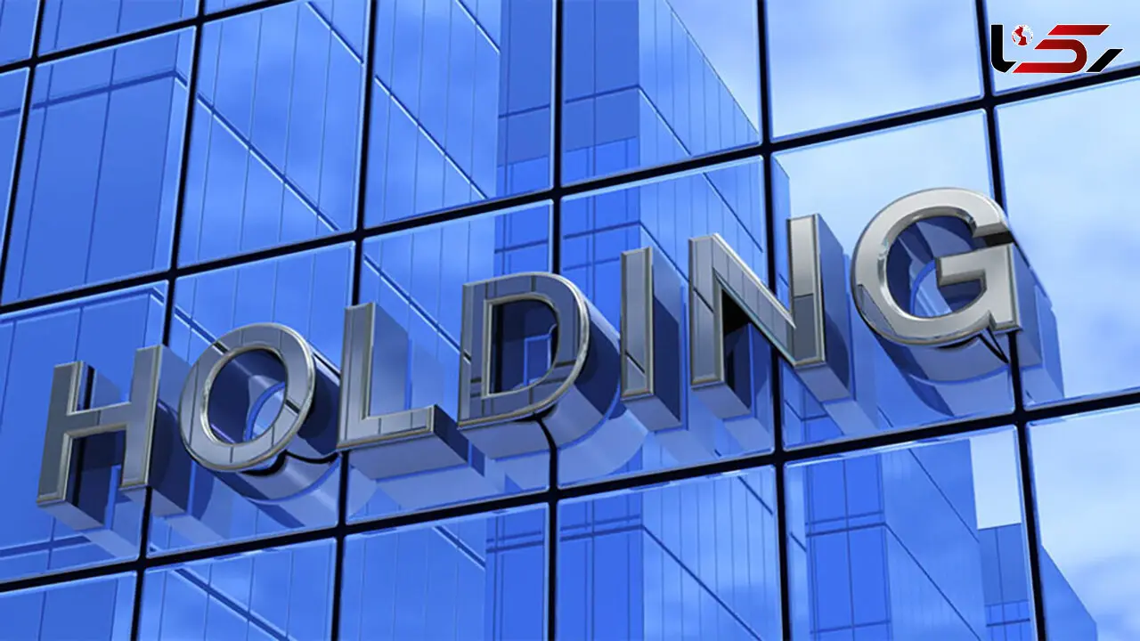 هلدینگ چیست؟ / مقایسه هلدینگ با شرکت سرمایه گذاری