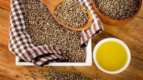روغن شاهدانه با معجزه های فراوان