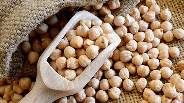 انبار نخود قاچاق از چشم ماموران دور نماند!/ نیروهای امنیتی کرمانشاه کشف کردند