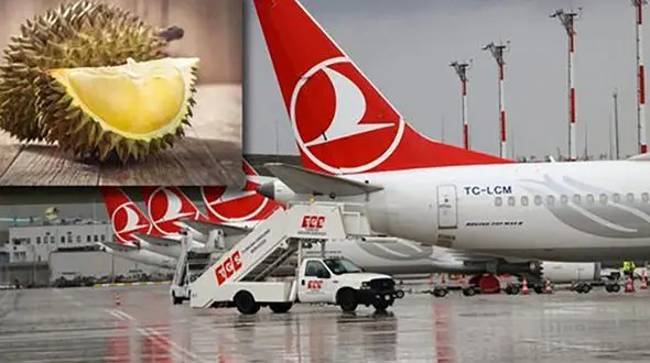 فرود اضطراری بخاطر بوی بد میوه در هواپیما + جزییات