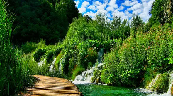 موفقیت یعنی ادامه دادن وقتی دیگران دست می‌کشند