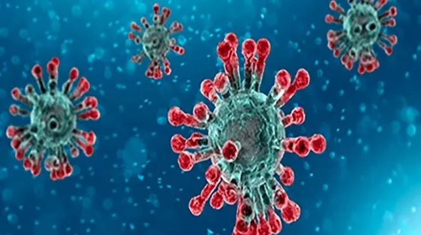 3 خانواده دیگر داغدار شدند
