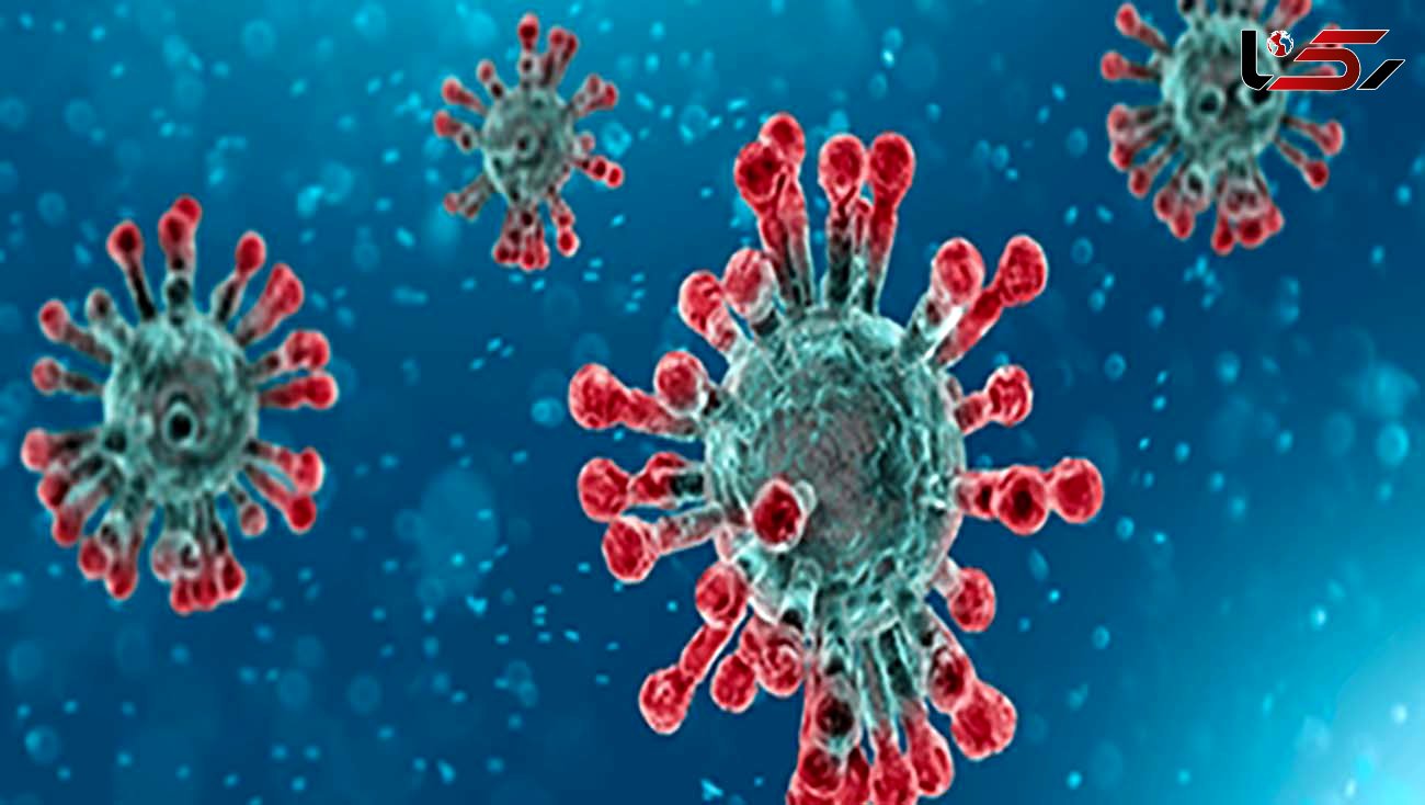 شناسایی 177 مورد جدید مبتلا به کرونا ویروس در ایلام