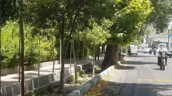 جابه‌جایی پاییز و تابستان در تهران / درختان تشنه اند + فیلم