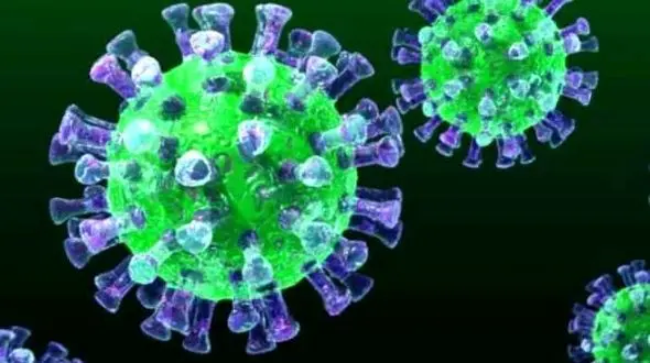 میلیاردها ویروس موجود در جو ، روزانه به زمین می بارند