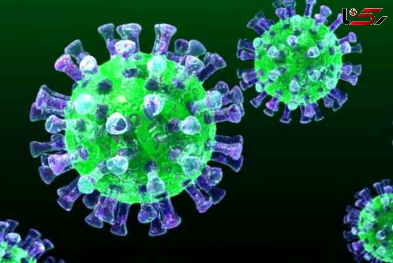 میلیاردها ویروس موجود در جو ، روزانه به زمین می بارند