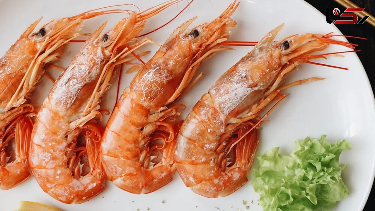 مهم ترین خواص و مضرات میگو برای بدن