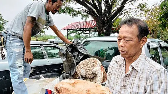 ماهیگیر خوش‌شانس با استفراغ نهنگ پولدار شد! + عکس