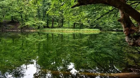 دریاچه فراخین نگین پنهان جنگل‌ های نوشهر + فیلم