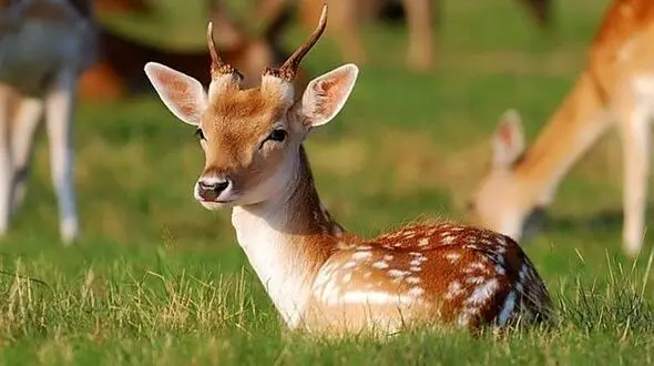 چند لحظه ای زیبایی ببینیم...