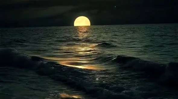 نترس از شروع، بترس از ایستادن