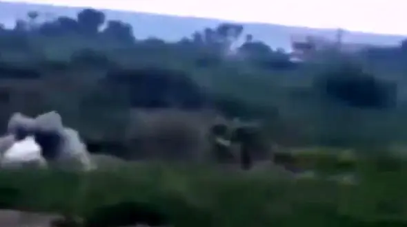 شلیک دقیق واحدهای توپخانه‌ یمن به محل تجمع ارتش عربستان+ فیلم و عکس