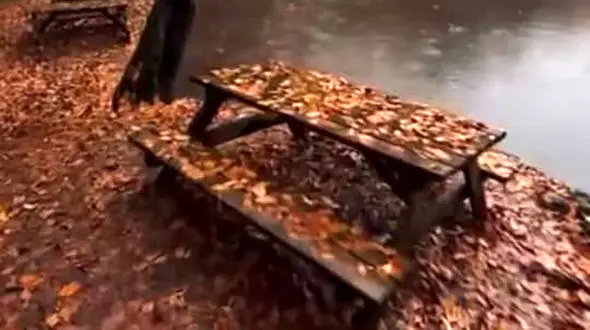 فال و طالع بینی امروز 20 آبان 