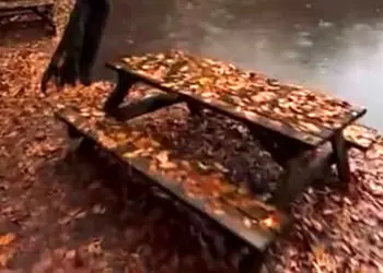 فال و طالع بینی امروز 20 آبان 