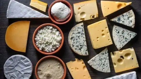 تاثیر مصرف پنیر و خامه پرچرب در کاهش خطر زوال عقل