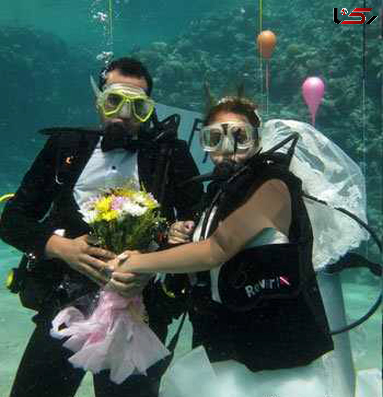 جشن عروسی زوج خبرنگار زیر دریا + عکس