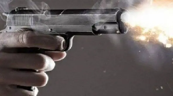 شاه ایرانی چطور ترور شد ؟ + روایت های مختلف