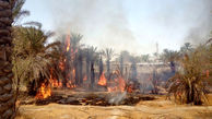 آتش سوزی در باغ‌های روستای حناشور دشتی