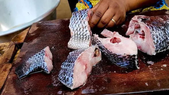 طرز تهیه غذای خیابانی غنا؛ خورشت ماهی تیلاپیا چگونه است؟ / فیلم