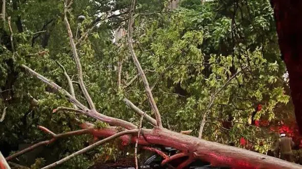 طوفان مرگبار در مازندران یک کشته و 2 مصدوم برجای گذاشت