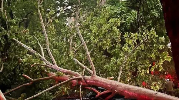 طوفان مرگبار در مازندران یک کشته و 2 مصدوم برجای گذاشت