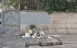 مردم محله میدان سپاه تهران: نه آسفالت داریم، نه سطل زباله؛ شهرداری و آبفای تهران فقط وعده می‌ دهند! + فیلم و عکس