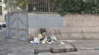 مردم محله میدان سپاه تهران: نه آسفالت داریم، نه سطل زباله؛ شهرداری و آبفای تهران فقط وعده می‌ دهند! + فیلم و عکس