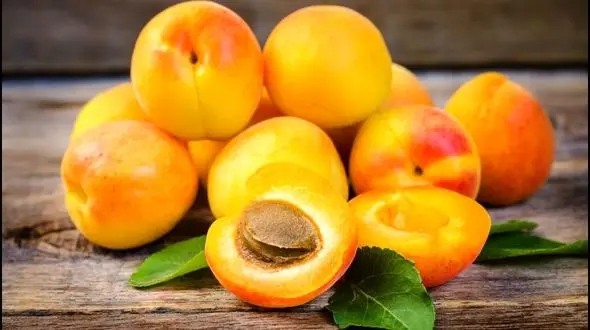 مرگ انسان با خوردن هسته این میوه