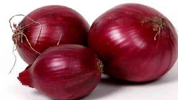 خوراکی های پاییزه ضد کرونا کدامند؟