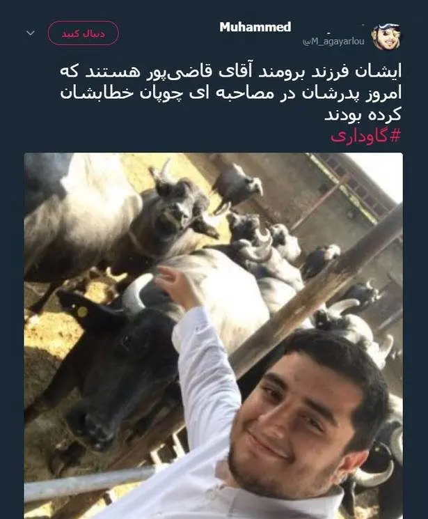 قاضی پور: خبر گاوداری پسرم صحت ندارد و دروغ است/ باور کنید، پسرم چوپان است 